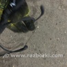 ФОТО Провод датчика ABS для Porsche Cayenne Type 958 (10-18) Киев