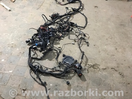 ФОТО Проводка салона для Audi (Ауди) A4 B8 - 8K2, 8K5 (08.2007-11.2015) Киев