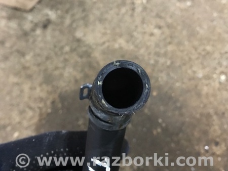 ФОТО Патрубок системы охлаждения для Audi (Ауди) A4 B8 - 8K2, 8K5 (08.2007-11.2015) Киев