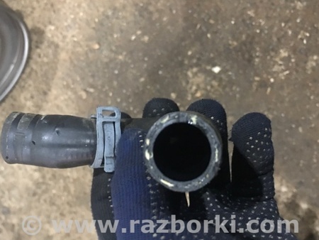 ФОТО Трубка охлаждения для Audi (Ауди) A4 B8 - 8K2, 8K5 (08.2007-11.2015) Киев