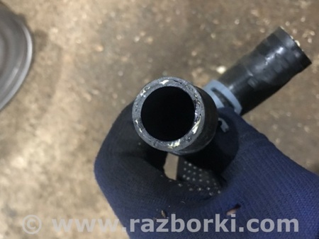 ФОТО Трубка охлаждения для Audi (Ауди) A4 B8 - 8K2, 8K5 (08.2007-11.2015) Киев