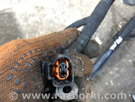ФОТО Электропроводка для Audi (Ауди) A4 B8 - 8K2, 8K5 (08.2007-11.2015) Киев