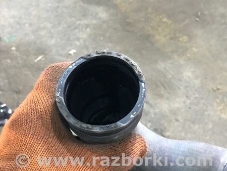 ФОТО Патрубок системы охлаждения для Audi (Ауди) A3 8V1, 8VA, 8V7, 8VS (03.2012-...) Киев