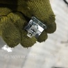 ФОТО Плафон подсветки салона для Audi (Ауди) A4 B8 - 8K2, 8K5 (08.2007-11.2015) Киев