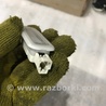 ФОТО Плафон подсветки салона для Audi (Ауди) A4 B8 - 8K2, 8K5 (08.2007-11.2015) Киев