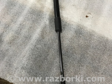 ФОТО Амортизатор капота для Audi (Ауди) A4 B8 - 8K2, 8K5 (08.2007-11.2015) Киев