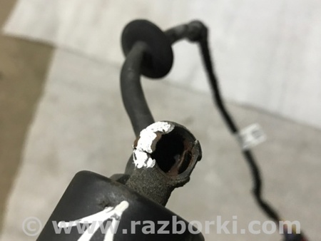 ФОТО Амортизатор крышки багажника для Porsche Cayenne Type 958 (10-18) Киев