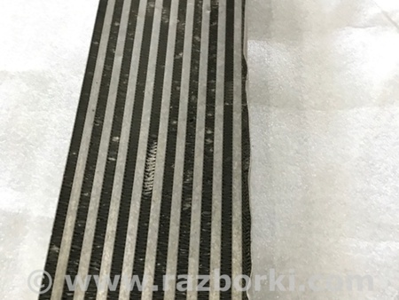 ФОТО Интеркулер для Audi (Ауди) A4 B8 - 8K2, 8K5 (08.2007-11.2015) Киев
