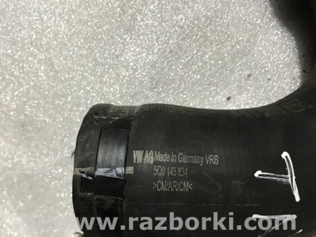 ФОТО Патрубок системы охлаждения для Audi (Ауди) A3 8V1, 8VA, 8V7, 8VS (03.2012-...) Киев