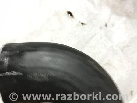 ФОТО Патрубок системы охлаждения для Audi (Ауди) A3 8V1, 8VA, 8V7, 8VS (03.2012-...) Киев