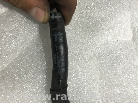 ФОТО Патрубок системы охлаждения для Audi (Ауди) A3 8V1, 8VA, 8V7, 8VS (03.2012-...) Киев
