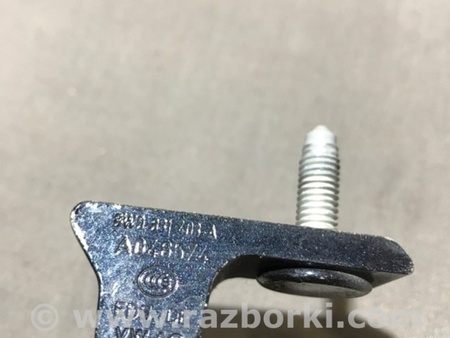 ФОТО Петля двери для Audi (Ауди) A4 B8 - 8K2, 8K5 (08.2007-11.2015) Киев