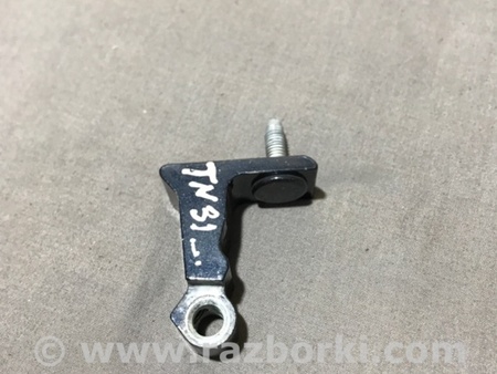 ФОТО Петля двери для Audi (Ауди) A4 B8 - 8K2, 8K5 (08.2007-11.2015) Киев