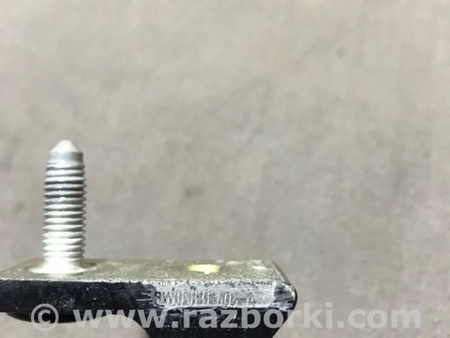 ФОТО Петля двери для Audi (Ауди) A4 B8 - 8K2, 8K5 (08.2007-11.2015) Киев