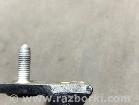 ФОТО Петля двери для Audi (Ауди) A4 B8 - 8K2, 8K5 (08.2007-11.2015) Киев