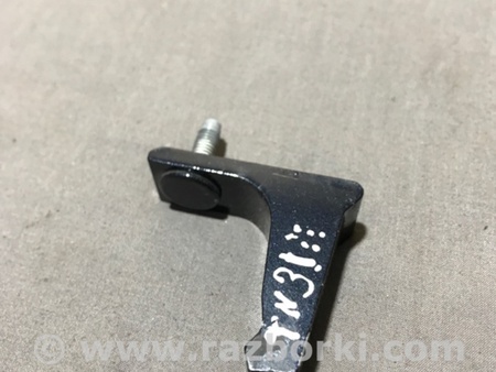 ФОТО Петля двери для Audi (Ауди) A4 B8 - 8K2, 8K5 (08.2007-11.2015) Киев