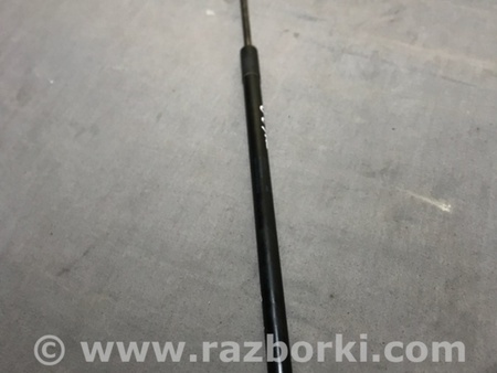 ФОТО Амортизатор капота для Audi (Ауди) A3 8V1, 8VA, 8V7, 8VS (03.2012-...) Киев