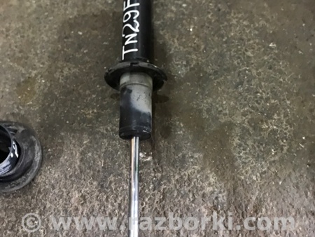 ФОТО Амортизатор подвески для Audi (Ауди) A4 B8 - 8K2, 8K5 (08.2007-11.2015) Киев