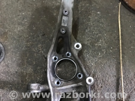 ФОТО Цапфа для Audi (Ауди) A4 B8 - 8K2, 8K5 (08.2007-11.2015) Киев