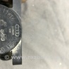 ФОТО Помпа для Audi (Ауди) A4 B8 - 8K2, 8K5 (08.2007-11.2015) Киев