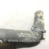 ФОТО Патрубок системы охлаждения для Audi (Ауди) A4 B8 - 8K2, 8K5 (08.2007-11.2015) Киев