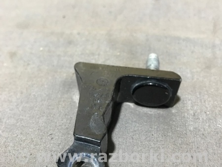 ФОТО Петля двери для Audi (Ауди) A4 B8 - 8K2, 8K5 (08.2007-11.2015) Киев