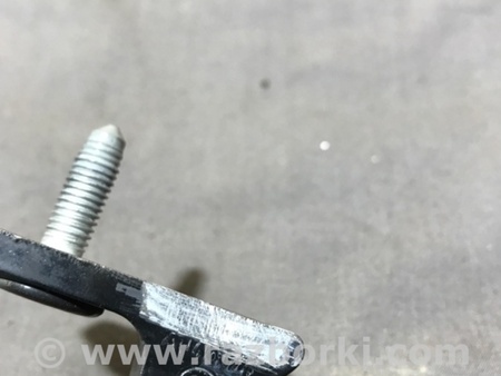 ФОТО Петля двери для Audi (Ауди) A4 B8 - 8K2, 8K5 (08.2007-11.2015) Киев