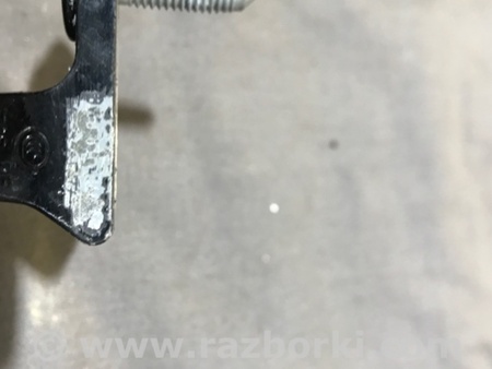 ФОТО Петля двери для Audi (Ауди) A4 B8 - 8K2, 8K5 (08.2007-11.2015) Киев
