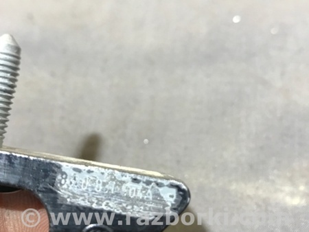 ФОТО Петля двери для Audi (Ауди) A4 B8 - 8K2, 8K5 (08.2007-11.2015) Киев