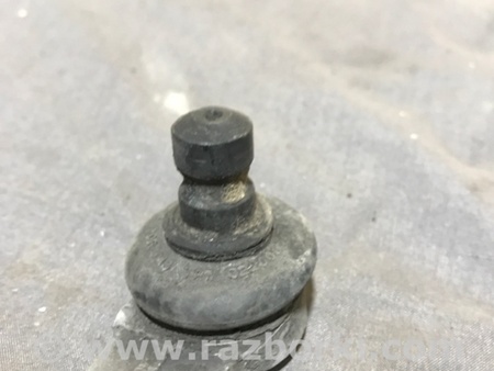 ФОТО Рычаг подвески для Audi (Ауди) A4 B8 - 8K2, 8K5 (08.2007-11.2015) Киев
