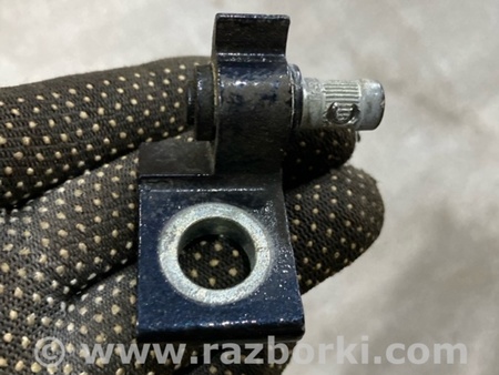 ФОТО Петля двери для Audi (Ауди) A4 B8 - 8K2, 8K5 (08.2007-11.2015) Киев