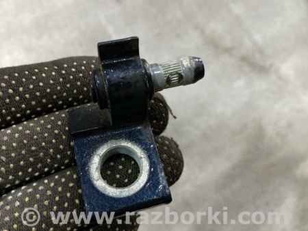 ФОТО Петля двери для Audi (Ауди) A4 B8 - 8K2, 8K5 (08.2007-11.2015) Киев