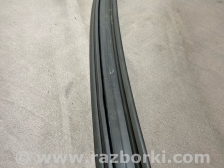 ФОТО Уплотнитель стекла двери для Audi (Ауди) A4 B8 - 8K2, 8K5 (08.2007-11.2015) Киев