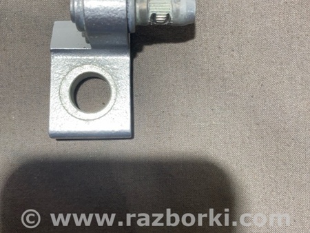 ФОТО Петля двери для Audi (Ауди) A4 B8 - 8K2, 8K5 (08.2007-11.2015) Киев