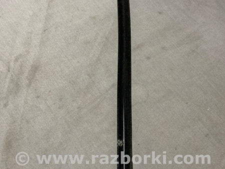 ФОТО Уплотнительная резинка для Audi (Ауди) A3 8V1, 8VA, 8V7, 8VS (03.2012-...) Киев
