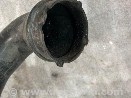 ФОТО Патрубок интеркулера для Audi (Ауди) A4 B8 - 8K2, 8K5 (08.2007-11.2015) Киев