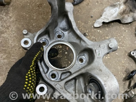 ФОТО Цапфа для Audi (Ауди) A4 B8 - 8K2, 8K5 (08.2007-11.2015) Киев