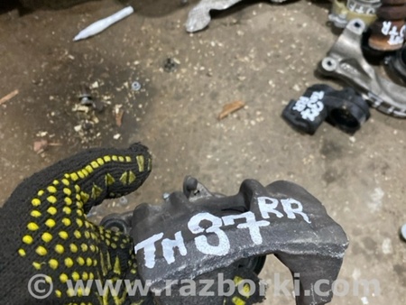 ФОТО Суппорт тормозной для Audi (Ауди) A4 B8 - 8K2, 8K5 (08.2007-11.2015) Киев