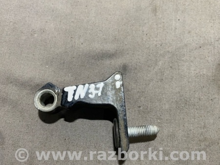 ФОТО Петля двери для Audi (Ауди) A4 B8 - 8K2, 8K5 (08.2007-11.2015) Киев