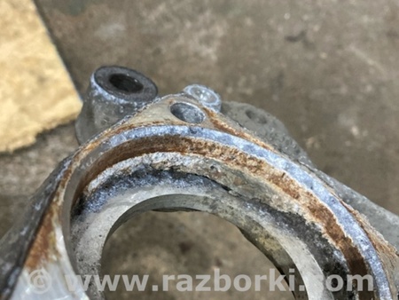 ФОТО Цапфа для Audi (Ауди) A3 8V1, 8VA, 8V7, 8VS (03.2012-...) Киев
