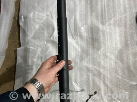 ФОТО Амортизатор крышки багажника для Audi (Ауди) A5 8T (03.2007-11.2016) Киев