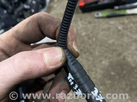 ФОТО Датчик для Audi (Ауди) A4 B8 - 8K2, 8K5 (08.2007-11.2015) Киев