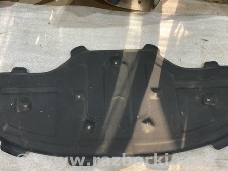 ФОТО Обшивка капота для Audi (Ауди) A8 D4 (11.2009-01.2018) Киев