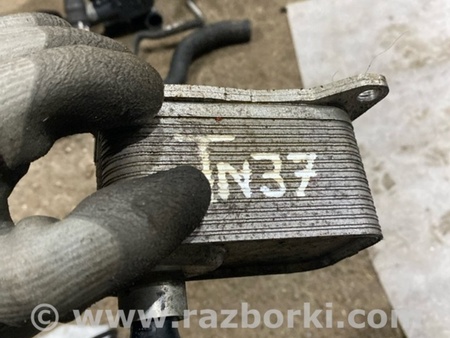 ФОТО Радиатор масляный для Audi (Ауди) A4 B8 - 8K2, 8K5 (08.2007-11.2015) Киев