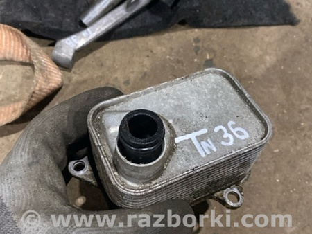 ФОТО Радиатор масляный для Audi (Ауди) A3 8V1, 8VA, 8V7, 8VS (03.2012-...) Киев