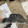 ФОТО Защитный кожух для Audi (Ауди) A6 C7 (11.2010-10.2018) Киев
