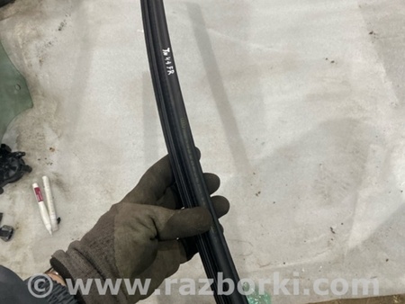 ФОТО Уплотнитель стекла двери для Audi (Ауди) A3 8V1, 8VA, 8V7, 8VS (03.2012-...) Киев