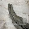ФОТО Бампер нижняя часть для Audi (Ауди) A3 8V1, 8VA, 8V7, 8VS (03.2012-...) Киев