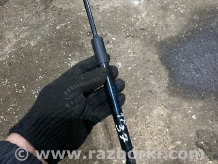 ФОТО Амортизатор капота для Audi (Ауди) A4 B8 - 8K2, 8K5 (08.2007-11.2015) Киев