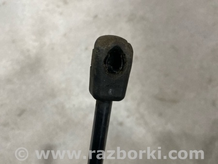 ФОТО Амортизатор капота для Audi (Ауди) A8 D4 (11.2009-01.2018) Киев